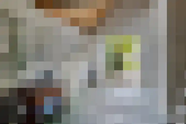 Weldsehei 6 Veldhoven thumbnail 4