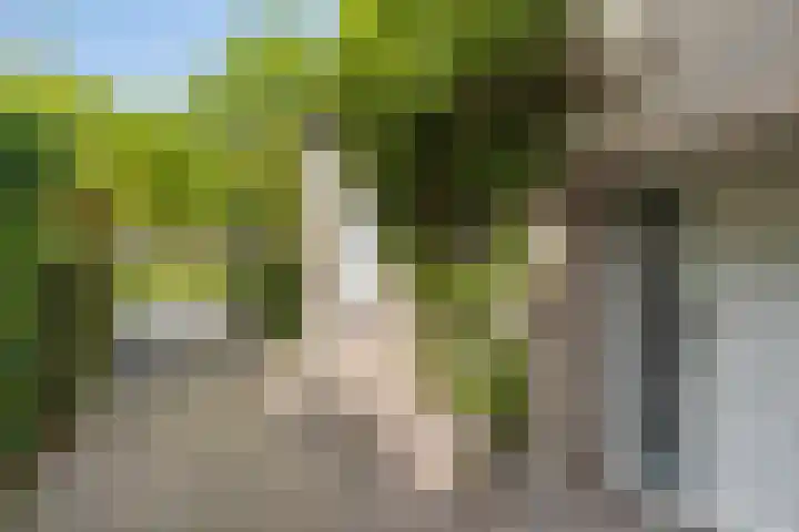 Weldsehei 6 Veldhoven thumbnail 7