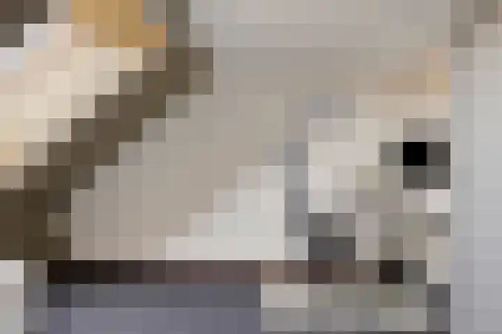 Welemanstraat 88 Borne thumbnail 31