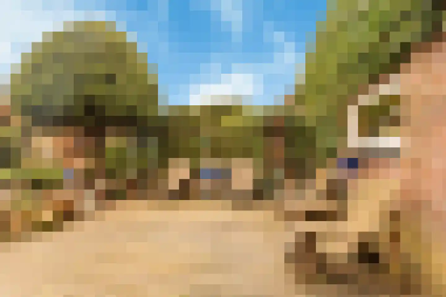 Weleveld 20 Nieuw-Vennep thumbnail 37