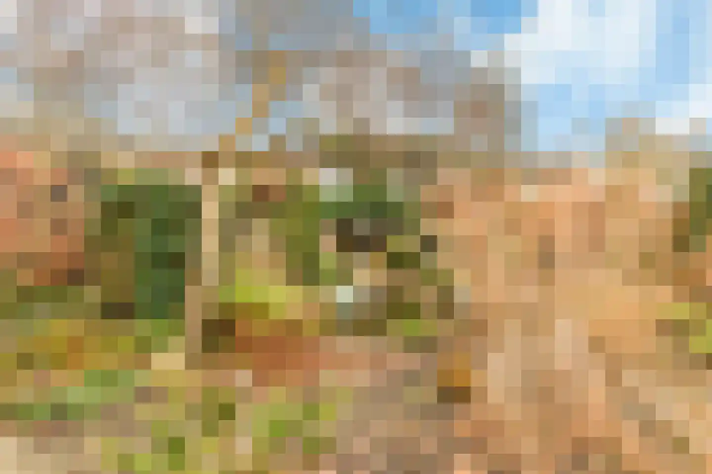 Weleveld 20 Nieuw-Vennep thumbnail 41