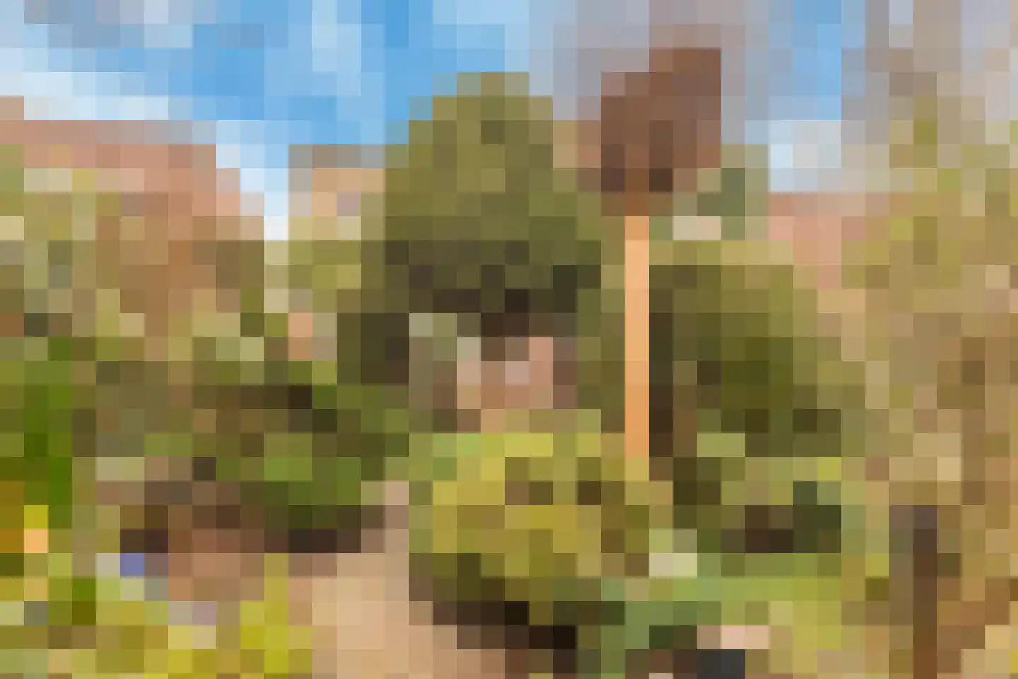 Weleveld 20 Nieuw-Vennep thumbnail 42