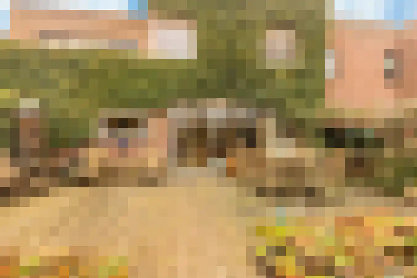 Weleveld 20 Nieuw-Vennep thumbnail 5