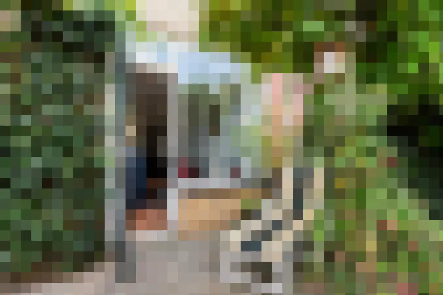 Weleveldstraat 21 Hengelo thumbnail 14