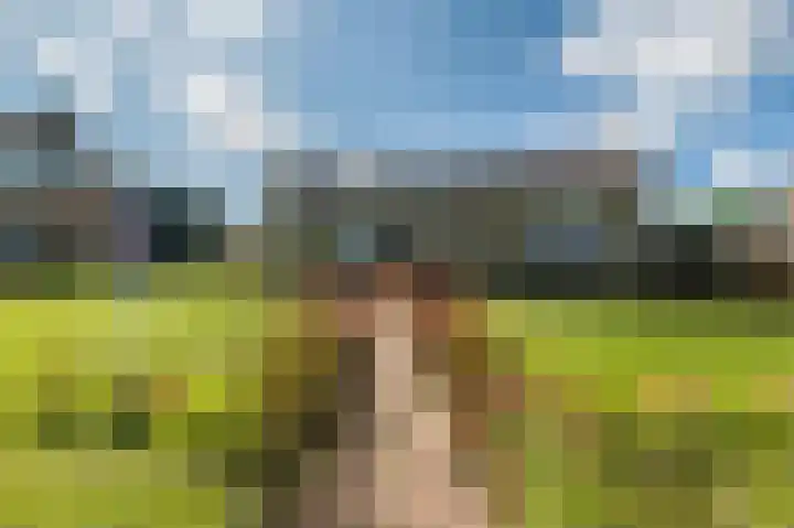 Welfingstrjitte 8 Wijnjewoude