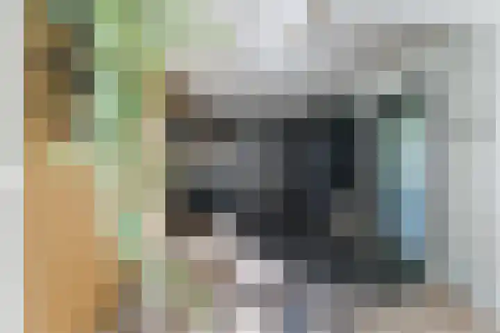 Welfingstrjitte 8 Wijnjewoude thumbnail 12