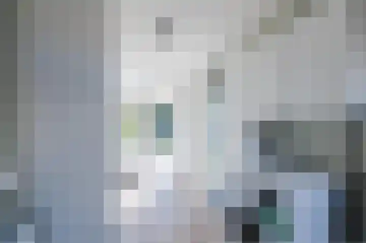 Welfingstrjitte 8 Wijnjewoude thumbnail 18