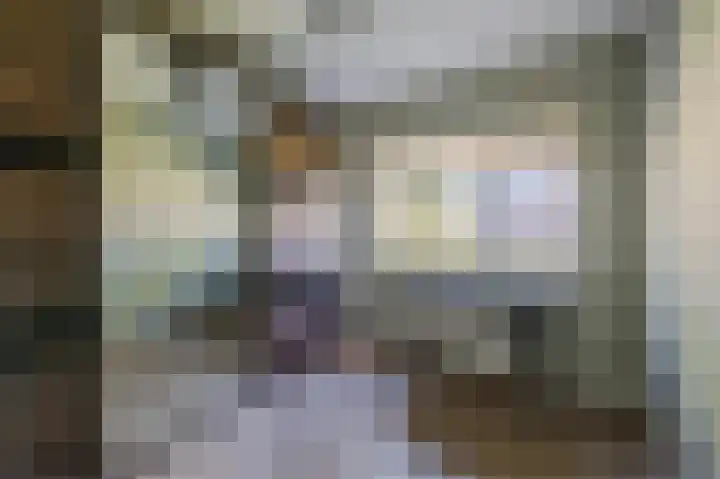 Welfingstrjitte 8 Wijnjewoude thumbnail 21