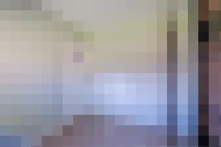 Welfingstrjitte 8 Wijnjewoude thumbnail 22