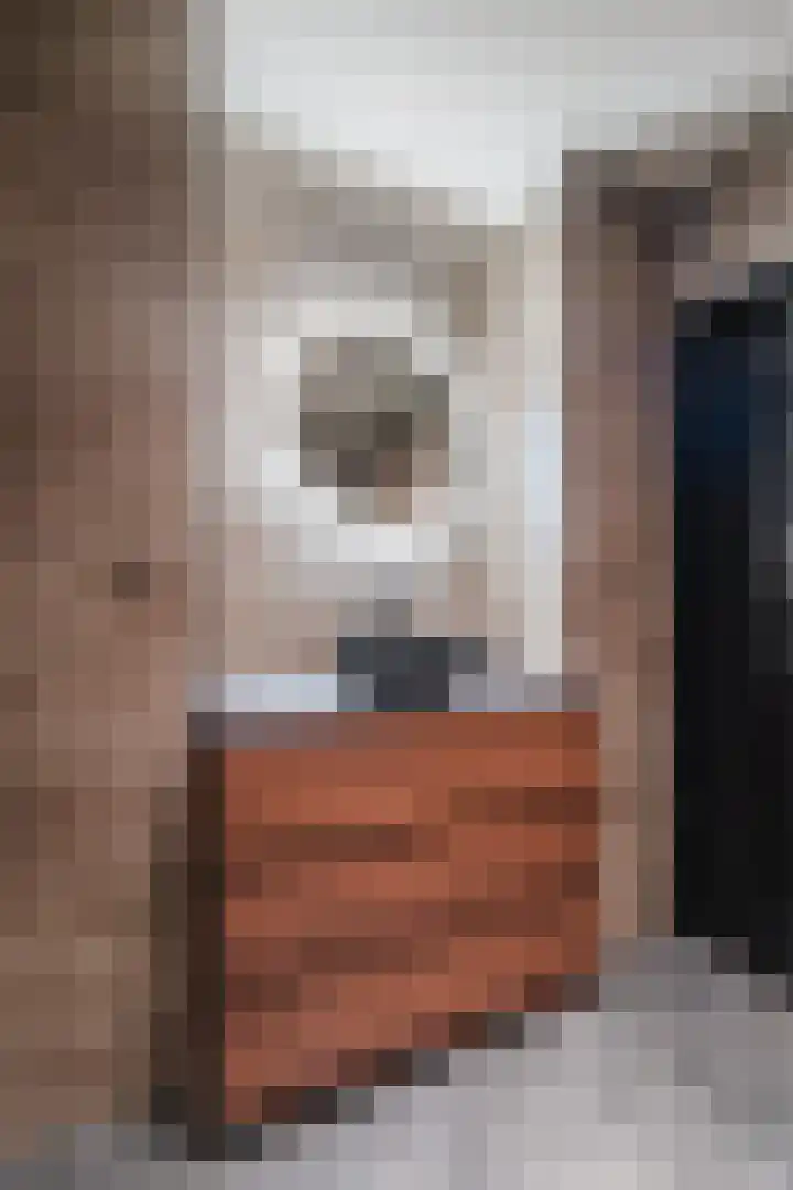 Welfingstrjitte 8 Wijnjewoude thumbnail 24