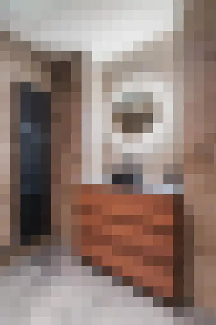 Welfingstrjitte 8 Wijnjewoude thumbnail 25