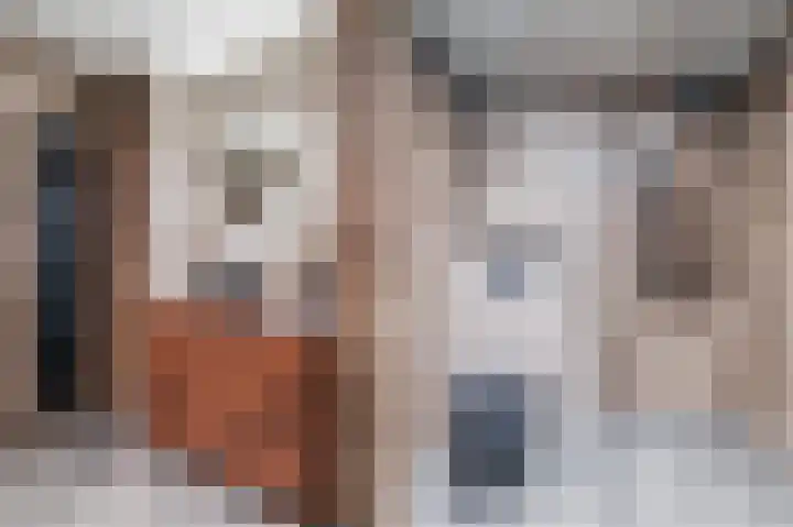 Welfingstrjitte 8 Wijnjewoude thumbnail 27