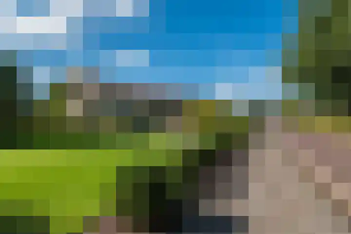 Welfingstrjitte 8 Wijnjewoude foto 3
