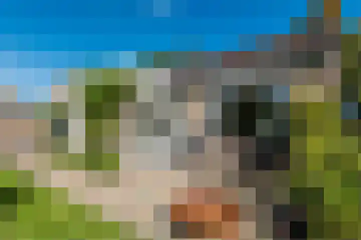 Welfingstrjitte 8 Wijnjewoude thumbnail 30