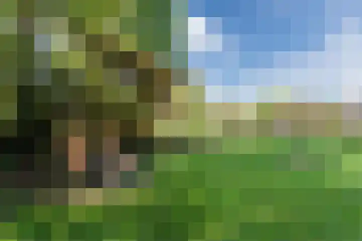 Welfingstrjitte 8 Wijnjewoude thumbnail 30