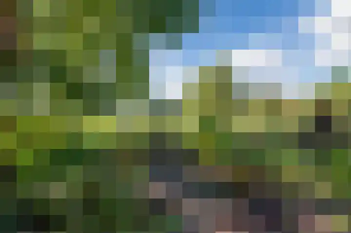 Welfingstrjitte 8 Wijnjewoude thumbnail 31