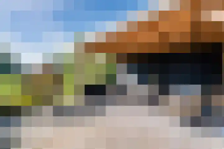 Welfingstrjitte 8 Wijnjewoude thumbnail 33