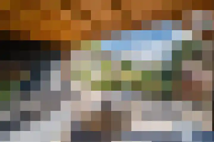 Welfingstrjitte 8 Wijnjewoude thumbnail 34