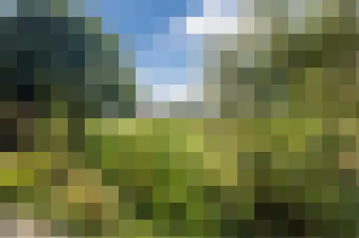 Welfingstrjitte 8 Wijnjewoude thumbnail 38
