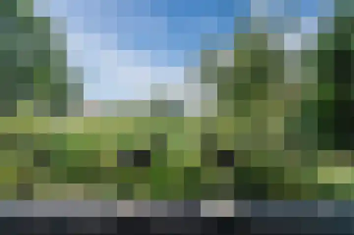 Welfingstrjitte 8 Wijnjewoude thumbnail 39