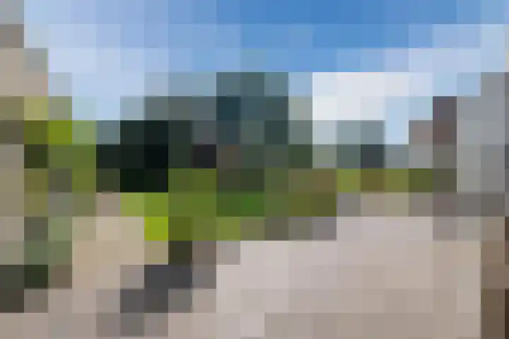 Welfingstrjitte 8 Wijnjewoude thumbnail 40