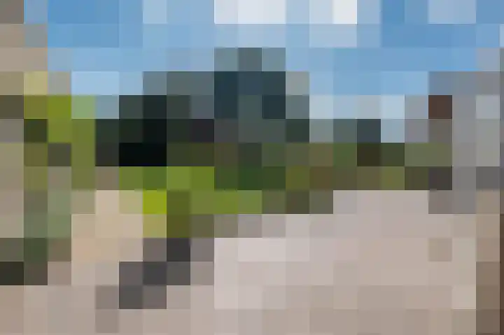 Welfingstrjitte 8 Wijnjewoude thumbnail 41