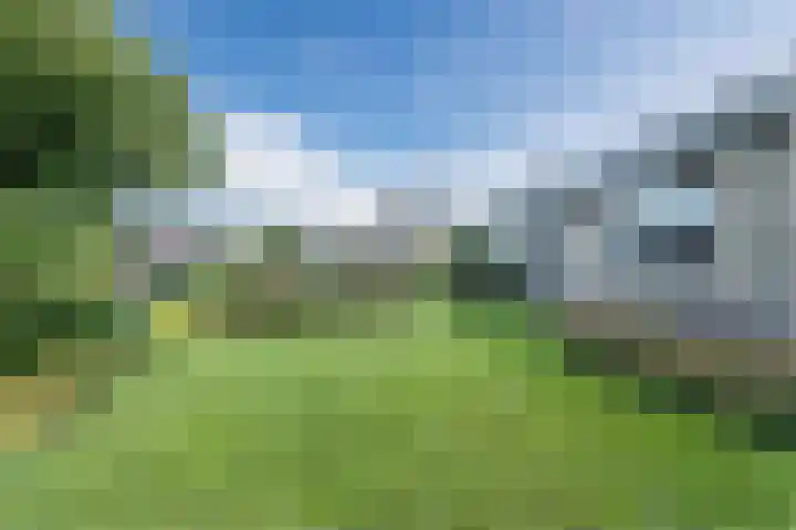 Welfingstrjitte 8 Wijnjewoude thumbnail 43