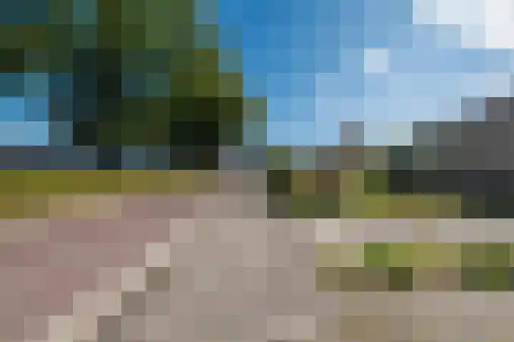 Welfingstrjitte 8 Wijnjewoude thumbnail 46