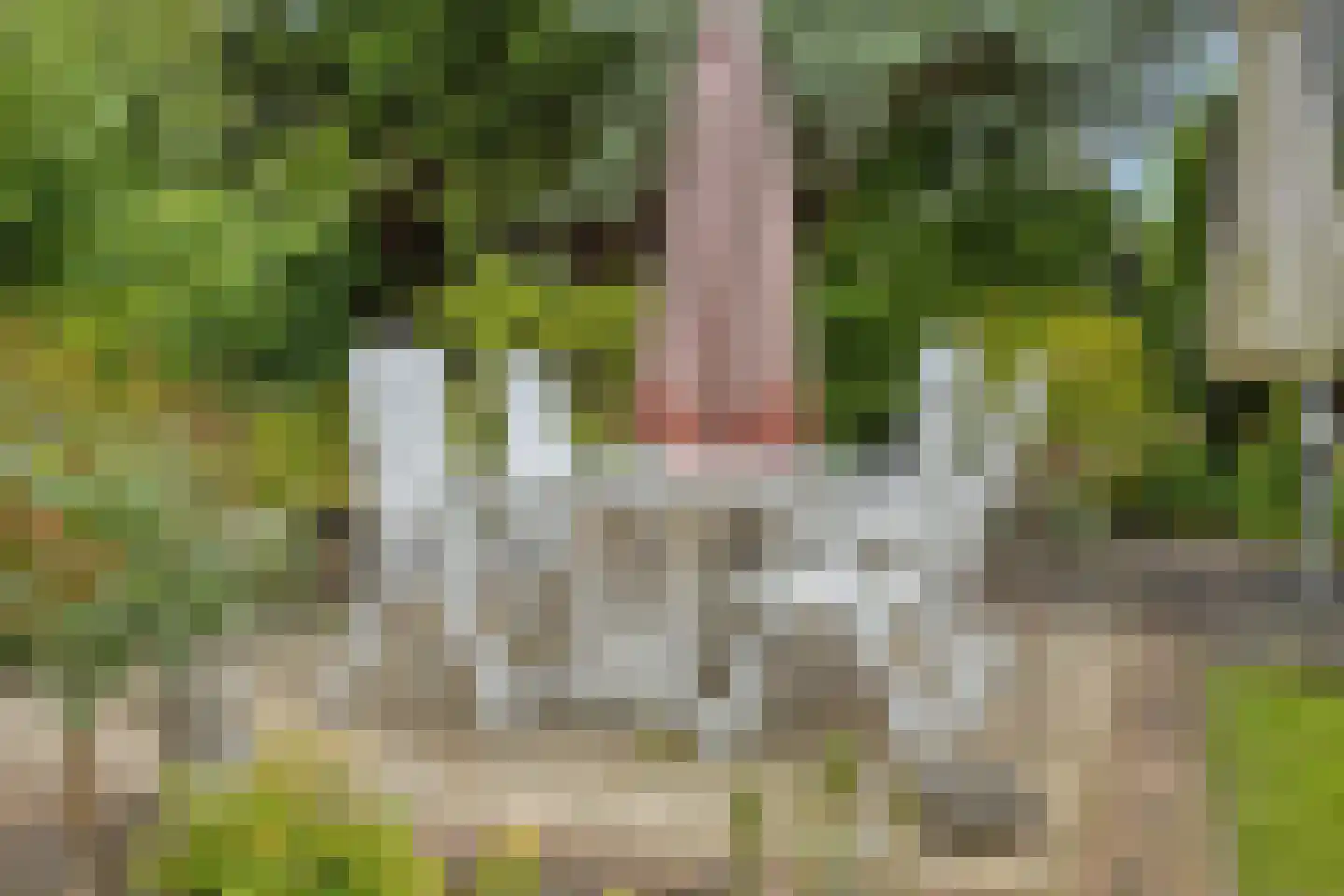 Welgelegen 15 Nieuw-Vennep thumbnail 16