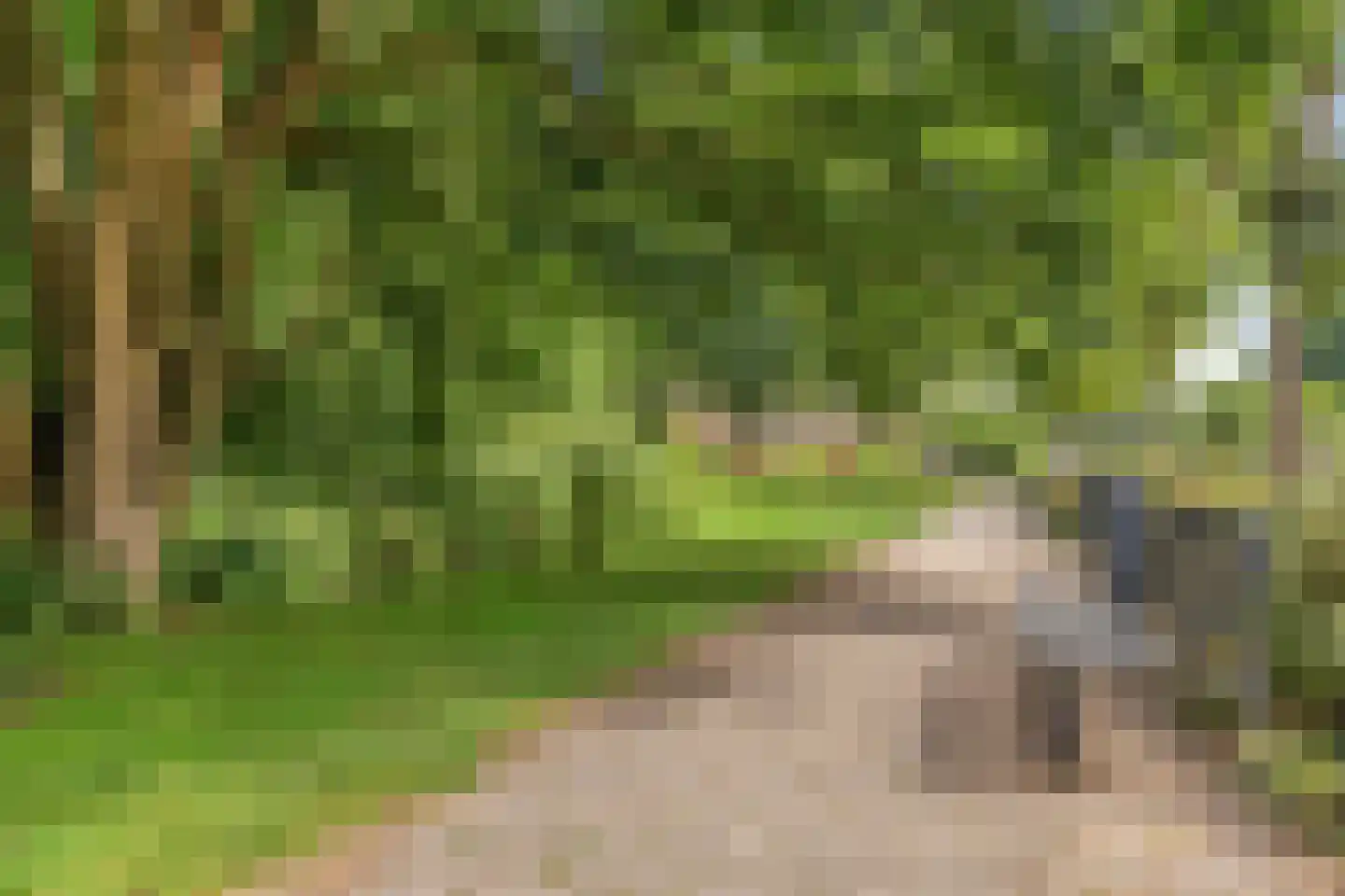 Welgelegen 15 Nieuw-Vennep thumbnail 30