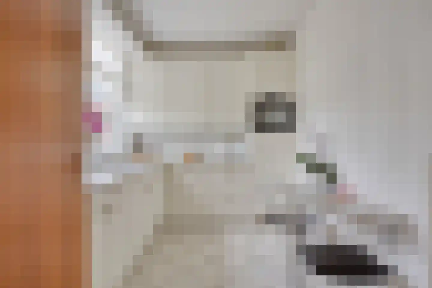 Welgelegen 15 Nieuw-Vennep thumbnail 5