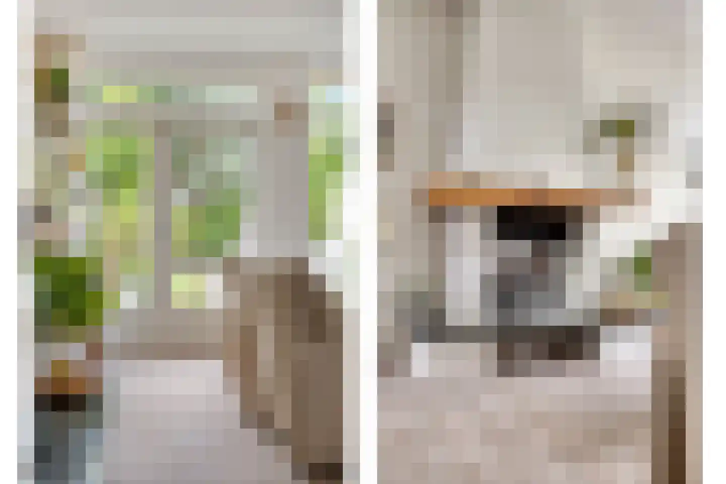 Welgelegen 15 Nieuw-Vennep thumbnail 7