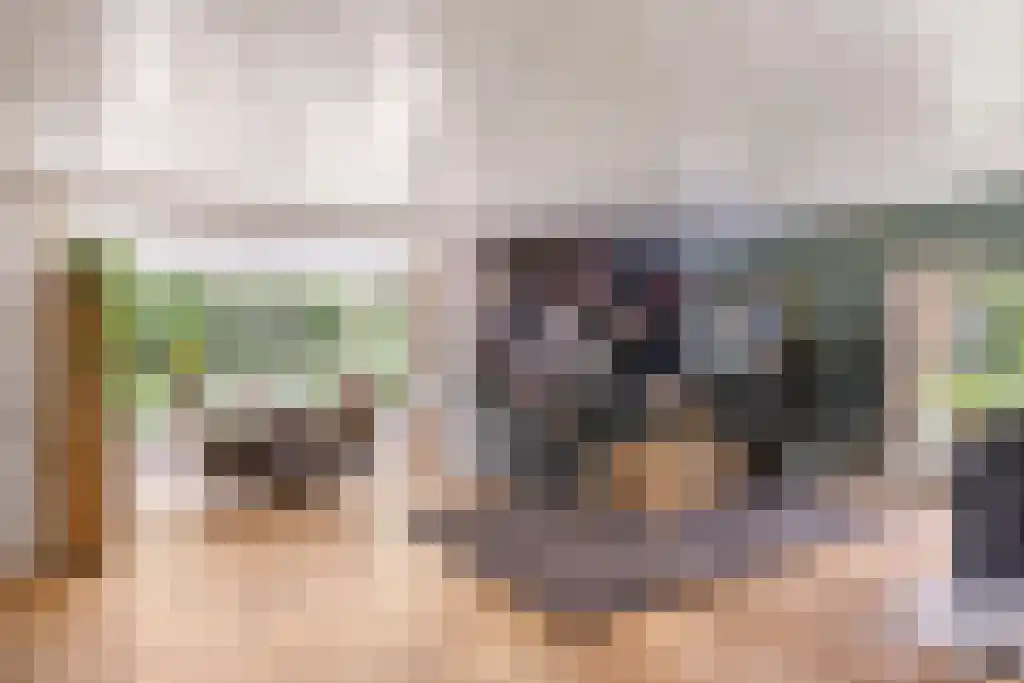 Welgelegen 2 A Jubbega thumbnail 13