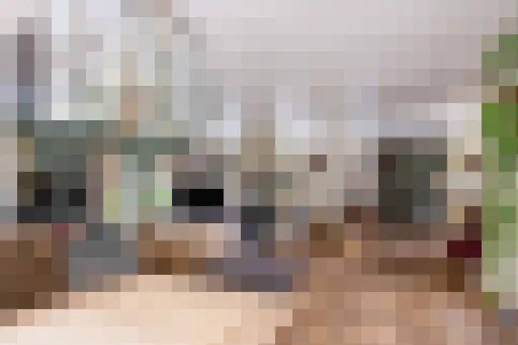 Welgelegen 2 A Jubbega thumbnail 15