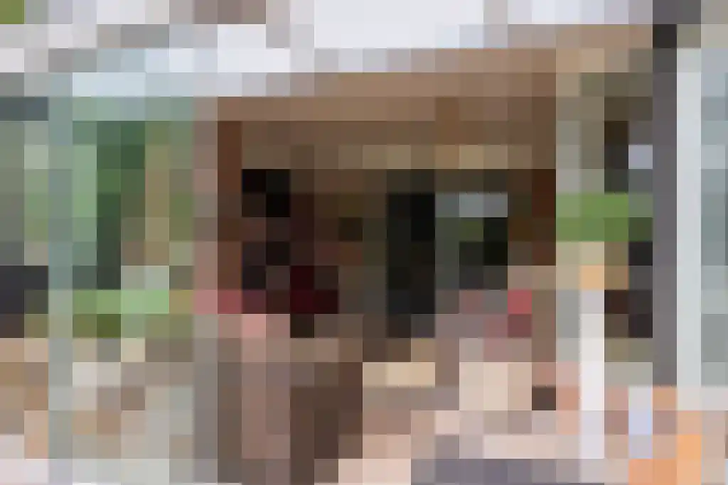 Welgelegen 2 A Jubbega thumbnail 22