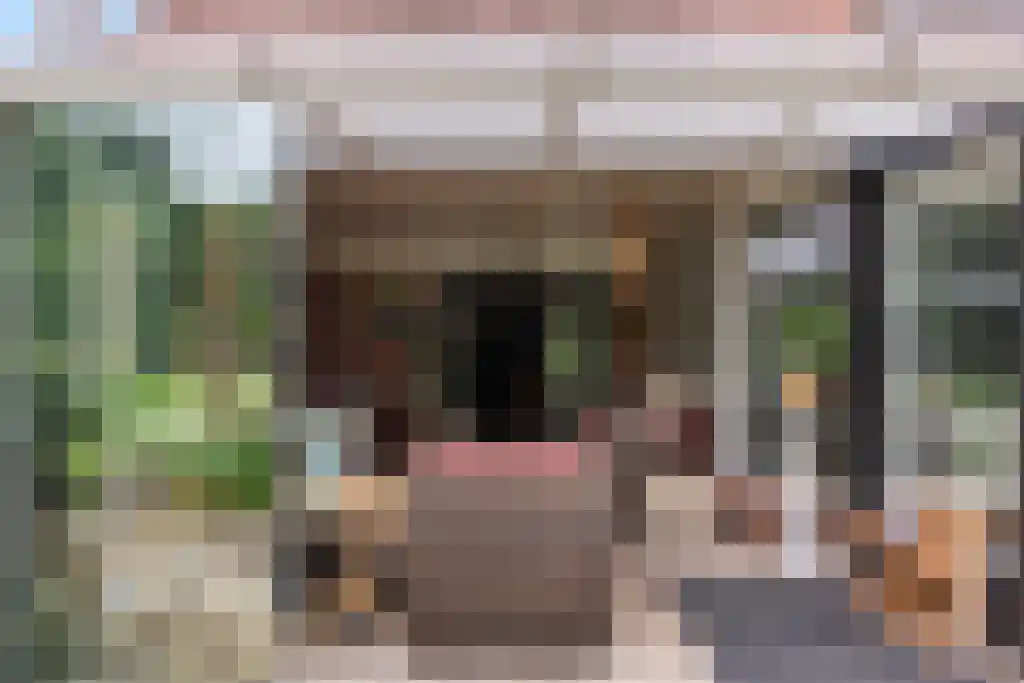 Welgelegen 2 A Jubbega thumbnail 23