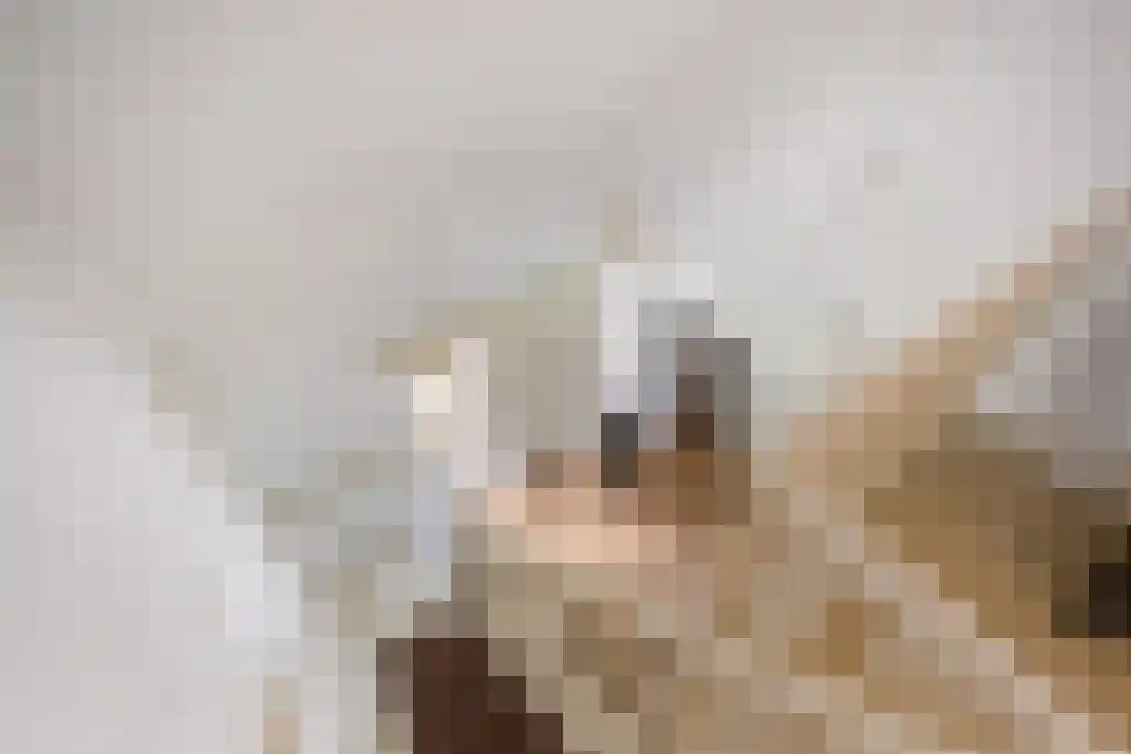 Welgelegen 2 A Jubbega thumbnail 38