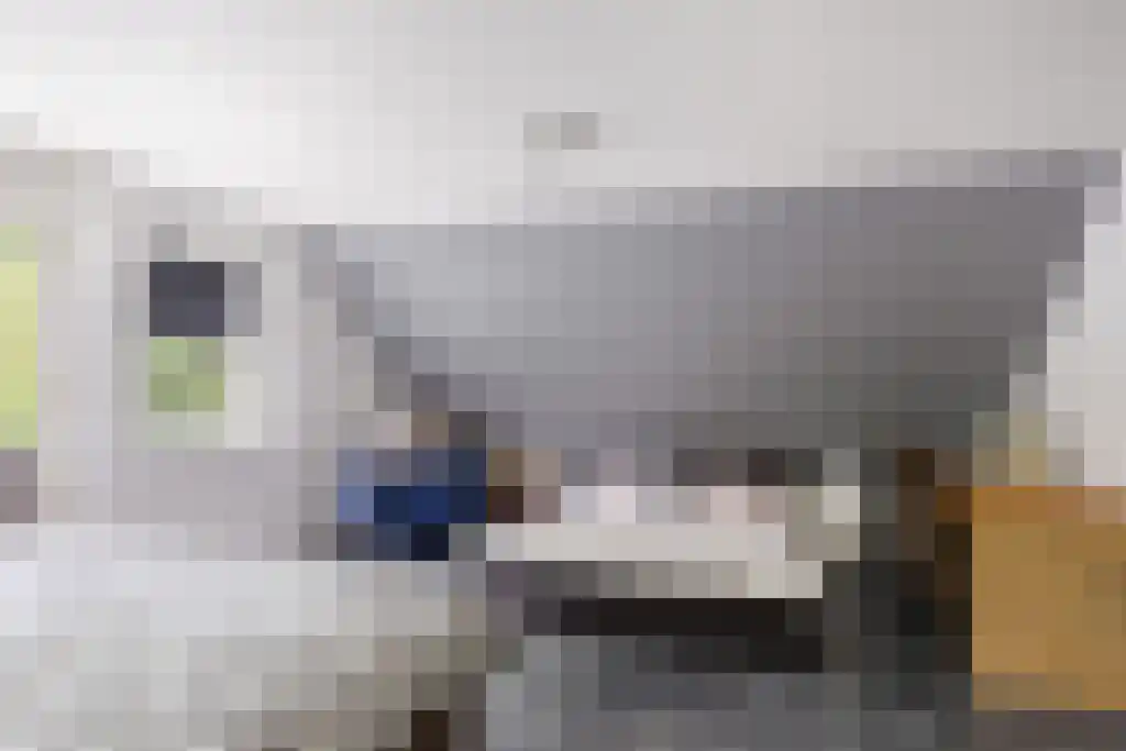 Welgelegen 2 A Jubbega thumbnail 40