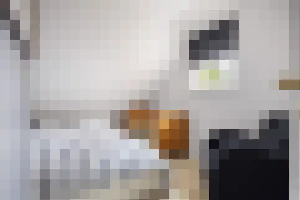 Welgelegen 2 A Jubbega thumbnail 43