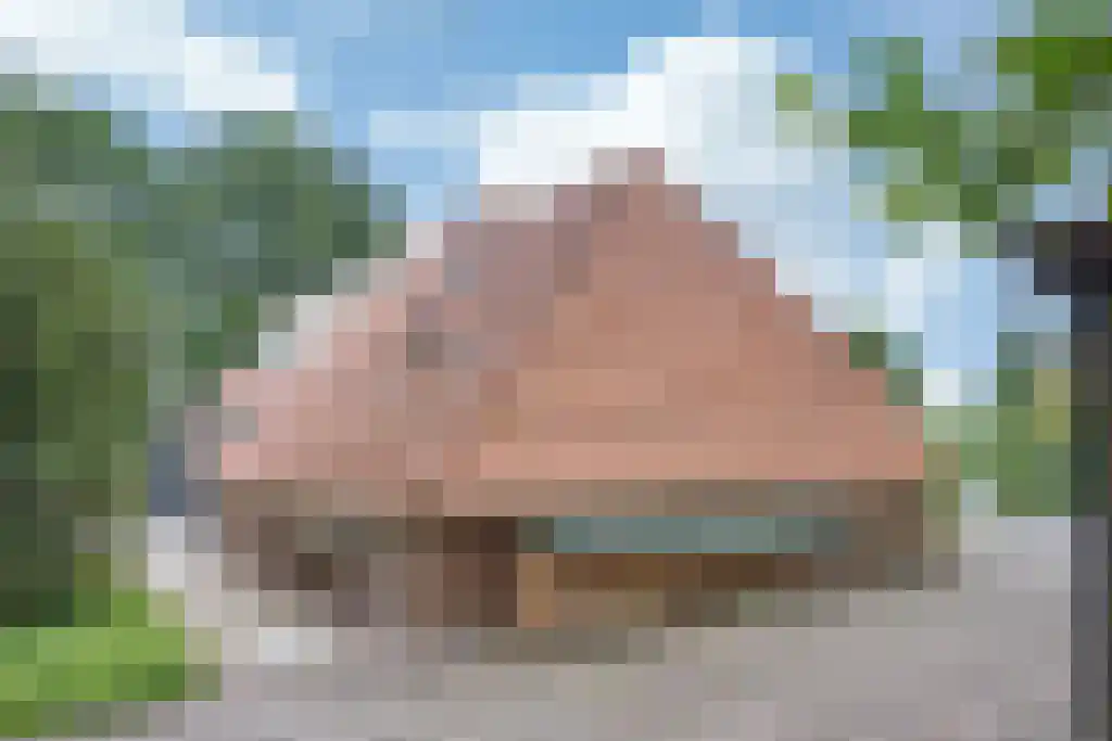 Welgelegen 2 A Jubbega thumbnail 60