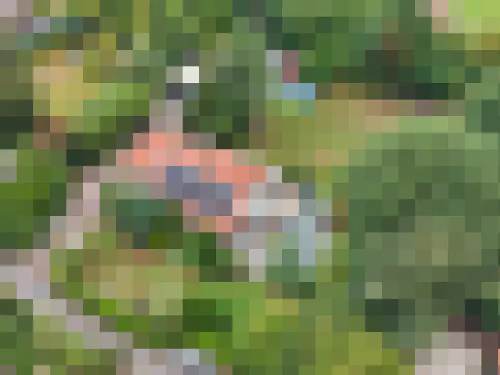 Welgelegen 2 A Jubbega thumbnail 61