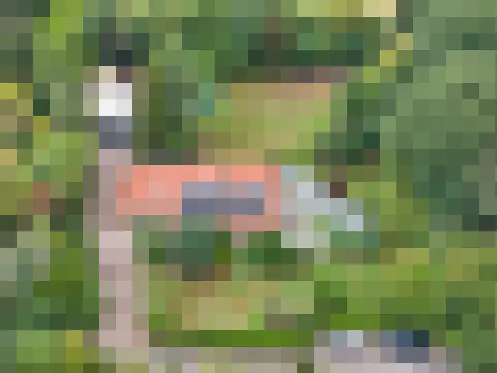 Welgelegen 2 A Jubbega thumbnail 62