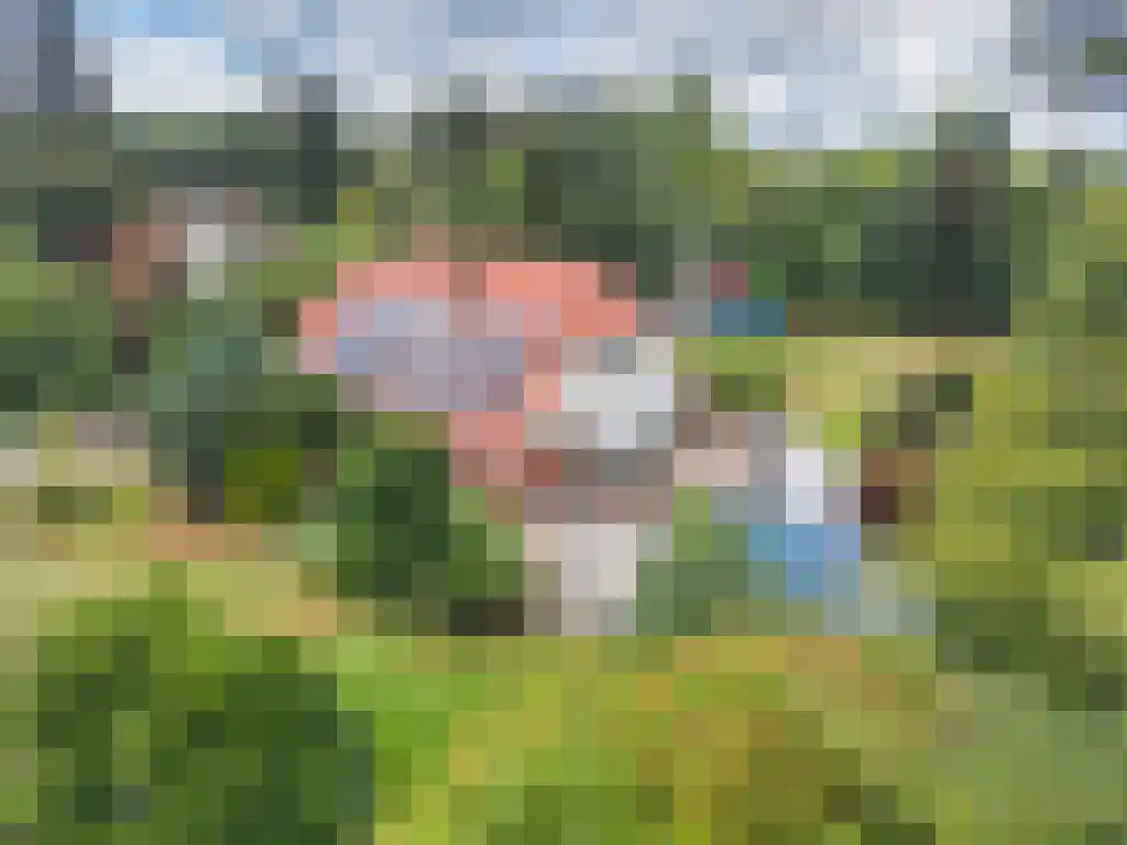 Welgelegen 2 A Jubbega thumbnail 63