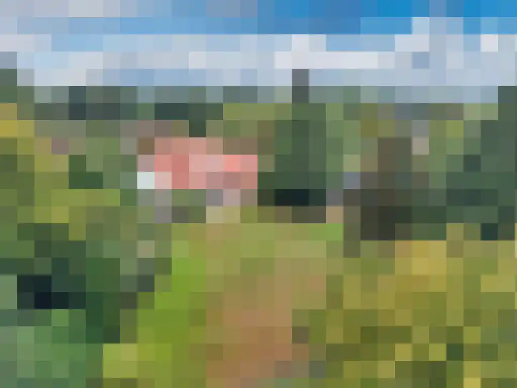Welgelegen 2 A Jubbega thumbnail 64
