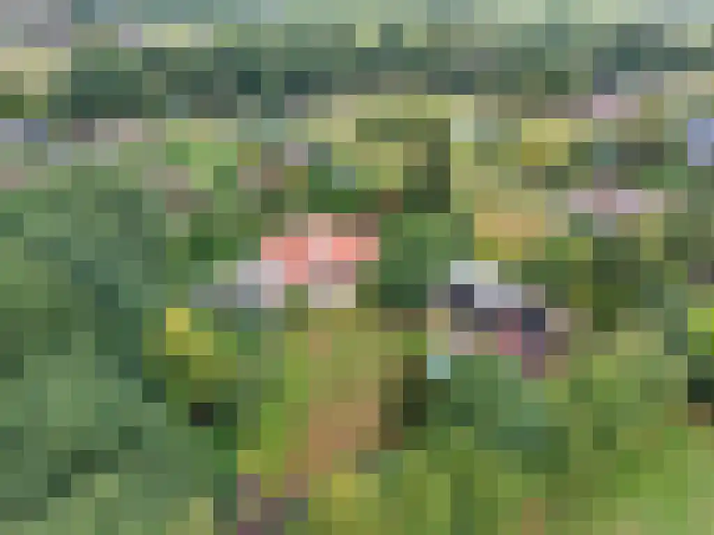 Welgelegen 2 A Jubbega thumbnail 65