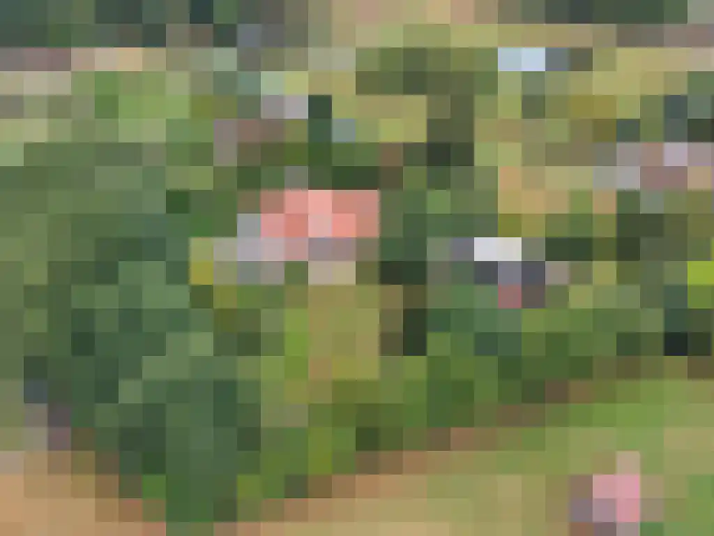 Welgelegen 2 A Jubbega thumbnail 66