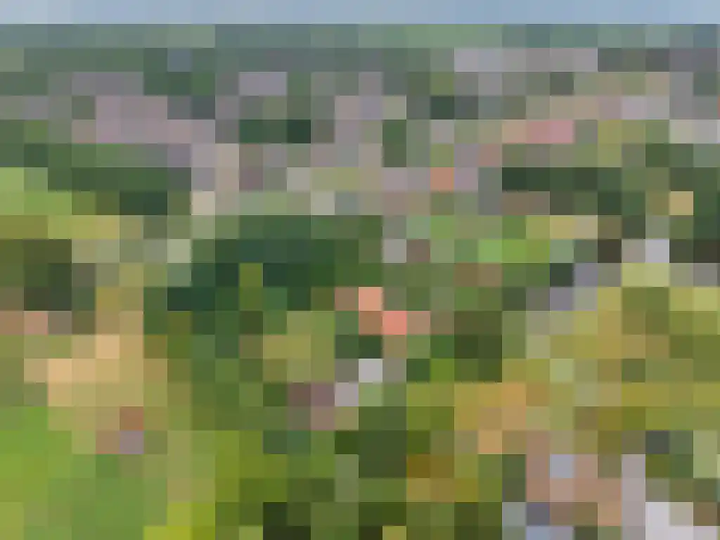 Welgelegen 2 A Jubbega thumbnail 68
