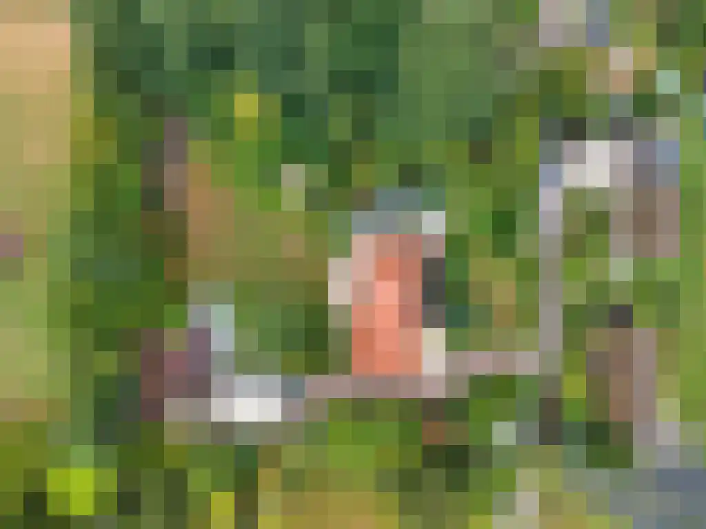 Welgelegen 2 A Jubbega thumbnail 69