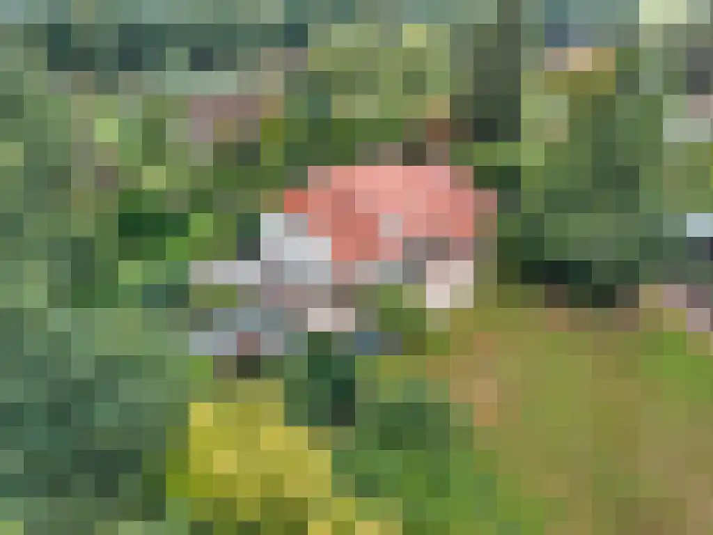 Welgelegen 2 A Jubbega thumbnail 7