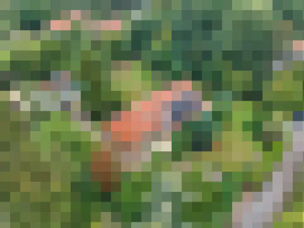 Welgelegen 2 A Jubbega thumbnail 70